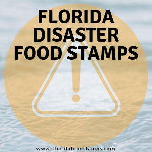 Florida Disaster Food Stamps