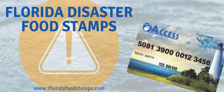 Disaster Food Stamps Florida - Smarter Florida